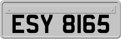 ESY8165
