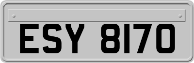 ESY8170
