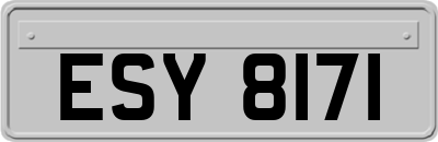 ESY8171