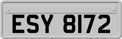 ESY8172