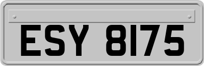 ESY8175