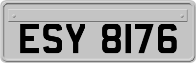 ESY8176