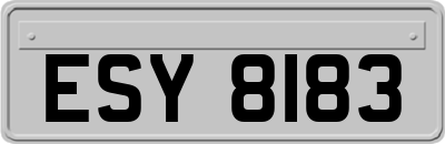 ESY8183