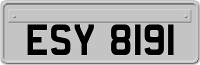 ESY8191
