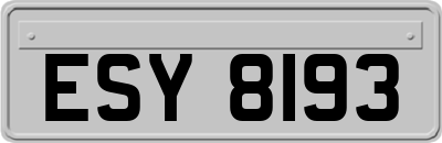 ESY8193
