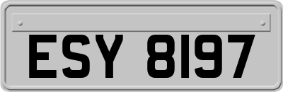 ESY8197