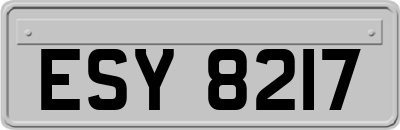 ESY8217