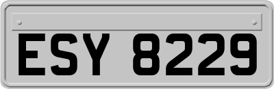 ESY8229