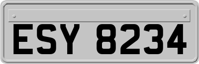 ESY8234