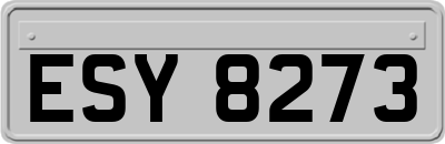 ESY8273