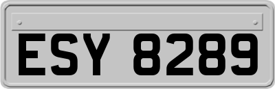 ESY8289