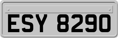 ESY8290