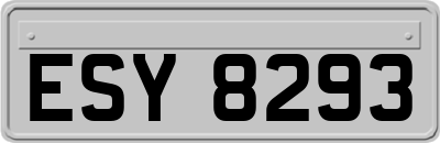 ESY8293