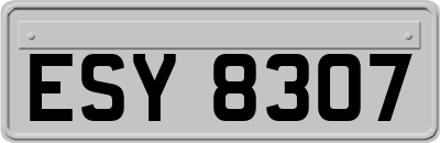 ESY8307