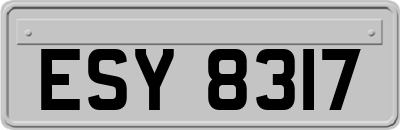 ESY8317