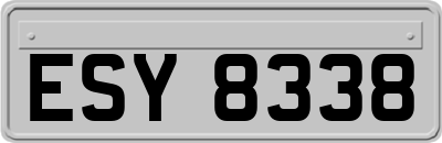 ESY8338