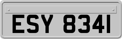 ESY8341