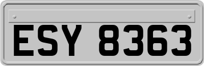 ESY8363