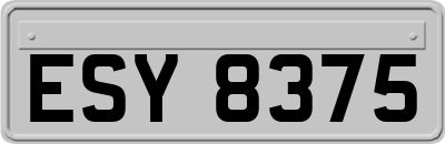 ESY8375