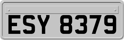 ESY8379