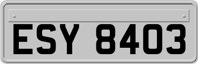 ESY8403