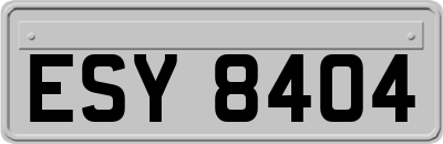 ESY8404