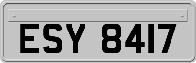 ESY8417