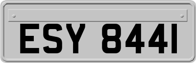 ESY8441
