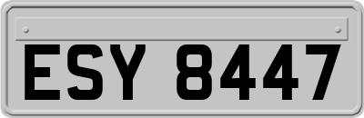ESY8447