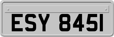 ESY8451