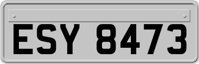 ESY8473