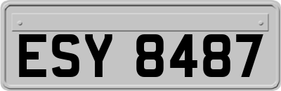 ESY8487