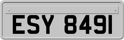 ESY8491