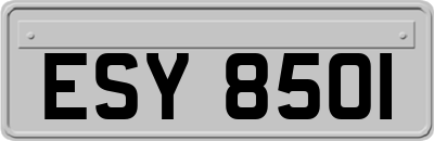 ESY8501