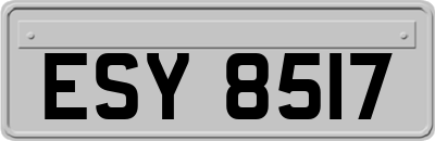 ESY8517
