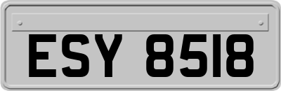 ESY8518