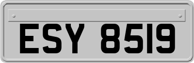ESY8519