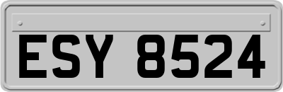ESY8524