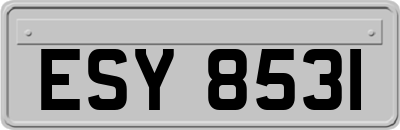 ESY8531