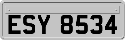ESY8534