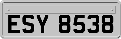 ESY8538