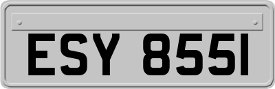 ESY8551