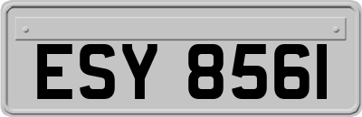 ESY8561