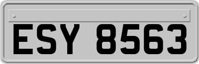 ESY8563