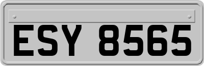 ESY8565