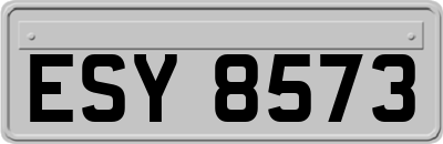 ESY8573