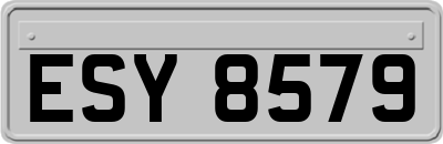 ESY8579