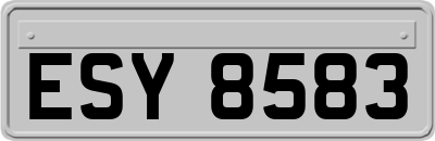 ESY8583