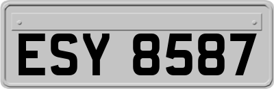 ESY8587