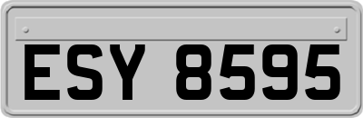 ESY8595